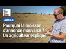 Moisson historiquement basse : au sud d'Arras, un agriculteur explique