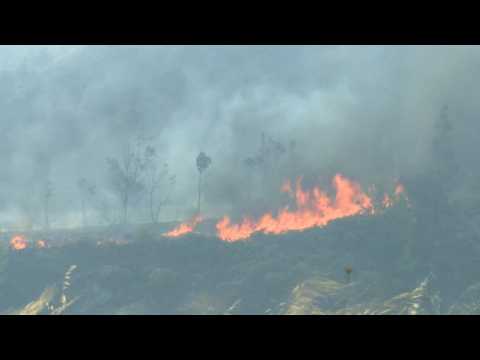 Greece wildfires rage near Athens