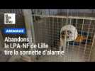 La LPA-NF de Lille tire la sonnette d'alarme face aux abandons d'animaux