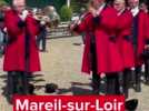 VIDÉO. Une franche réussite pour le comice agricole de Mareil-sur-Loir ce week-end