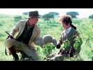 Out of Africa