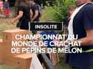 Le championnat du monde de crachat de pépins de melon