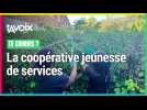 [TU CONNAIS ?] La coopérative jeunesse de services