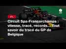 VIDÉO. F1. Circuit Spa-Francorchamps : vitesse, tracé, records... Tout savoir du tracé du GP de Belgique