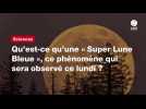 VIDÉO. Qu'est-ce qu'une « Super Lune Bleue 