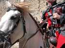 Un tournois de chevalerie dans les lices de la cité de Carcassonne