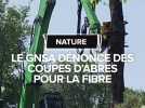 Des riverains et le GNSA dénoncent des coupes d'arbres pour la fibre en Ariège