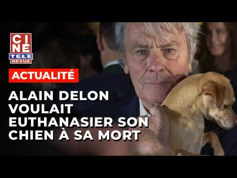 VIDEO : Le chien d'Alain Delon sera-t-il euthanasi ? Le sujet fait dbat - Cin-Tl-Revue