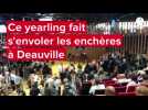 VIDEO. Un yearling, vendu 1, 7 millions d'euros, à Deauville