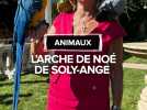 L'Arche de Noé de Soly-Ange, une seconde vie pour les animaux