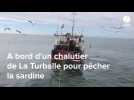 VIDÉO. À bord d'un chalutier de La Turballe pour pêcher la sardine