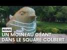 Un moineau géant se pose square Colbert de Reims