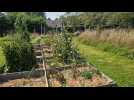 À Mesnil-en-Ouche, le Potager de Beaumesnil sensibilise le public à la préservation de l'environnement