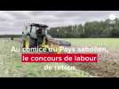 VIDÉO. Le concours de labour de retour au comice du Pays sabolien