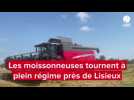 VIDÉO. Dans le canton de Lisieux, les agriculteurs ont débuté la moisson dans les champs