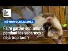 Est-il trop tard pour faire garder son animal cet été ?