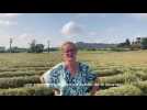 Rencontre avec Marie-Ludovie de Marcillac, agricultrice et productrice de lavande, aux Collines de Besplas.