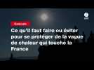 VIDEO. Ce qu'il faut faire ou éviter pour se protéger de la vague de chaleur qui touche la France