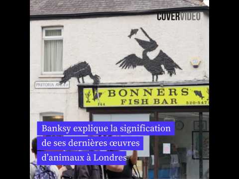 VIDEO : Banksy explique la signification de ses dernires ?uvres d'animaux  Londres