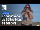 Le sosie vocal de Céline Dion en concert à Auchel