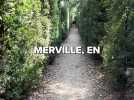 Merville : le plus grand labyrinthe de buis d'Europe