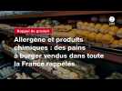 VIDÉO. Allergène et produits chimiques : des pains à burger vendus dans toute la France rappelés