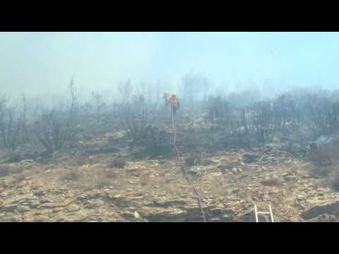 Firefighters deployed to Athens suburb as wildfires hit Greece