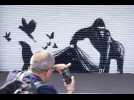 VIDÉO. Des Banksy animaliers fleurissent à Londres