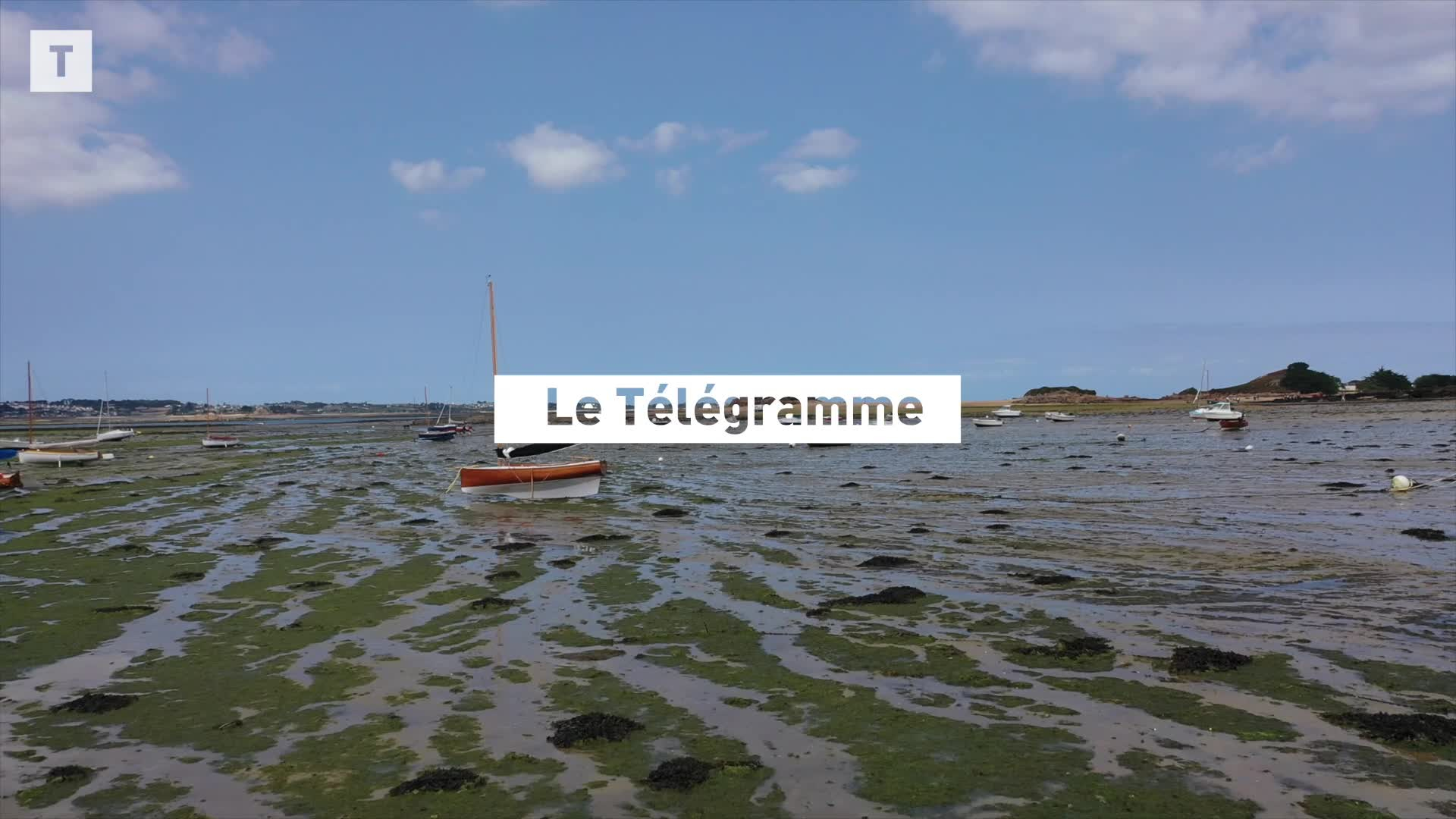 Grandes marées en Bretagne : Face à la mer lointaine [Vidéo]