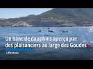 Marseille : un banc de dauphins aperçu par des plaisanciers au large des Goudes