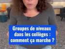 Groupes de niveaux au collège : qui est concerné, comment ça va fonctionner ?