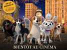 Les Chiens à l'Opéra: Trailer HD VF