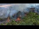 AERIAL SHOTS of fires in the Brazilian Amazon