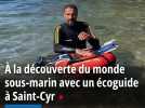 À la découverte du monde sous-marin avec un écoguide à Saint-Cyr