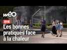 Vague de chaleur : nos recommandations pour y faire face