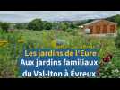 Les jardins de l'Eure : aux jardins familiaux du Val-Iton, à Évreux