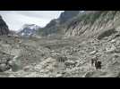 La mer de Glace, glacier le plus grand de France, fond à grande vitesse