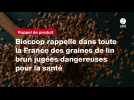 VIDÉO. Biocoop rappelle dans toute la France des graines de lin brun jugées dangereuses pour la santé