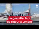 VIDÉO. Après 18 mois de mission, la goélette scientifique Tara de retour à Lorient