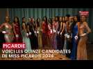 Miss Picardie 2024 : voici les quinze candidates de l'Aisne, l'Oise et la Somme