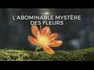 L'abominable mystère des fleurs