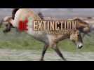 Dé-extinction, un nouvel espoir ?