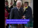 Charles III va faire une pause dans son traitement contre le cancer