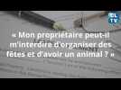 Le propriétaire d'une location ou colocation peut-il interdire les soirées et la détention d'un animal de compagnie ?