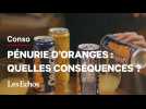 Pénurie d'oranges : Orangina et Oasis sous pression