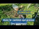 A Jumièges avec le camion qui presse (les pommes)