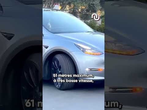 Ces chiens conduisent une Tesla ? #shorts