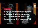 VIDÉO. Le prix Nobel de médecine attribué à Victor Ambros et Gary Ruvkun pour les travaux sur les micro-ARN