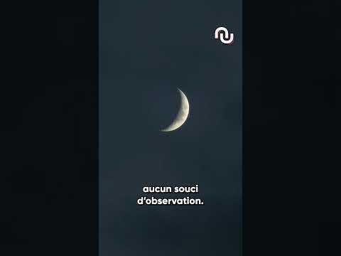 Des ÉTOILES FILANTES visibles en FRANCE #shorts