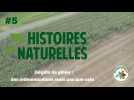 Histoires naturelles #5 : Indemnisation des dégâts de gibier